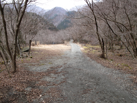20160204hike (49)